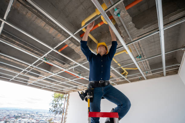 Best Best Plumbers Near Me  in Three Oaks, FL