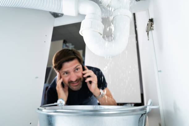 Best Plumbing Repair Near Me  in Three Oaks, FL