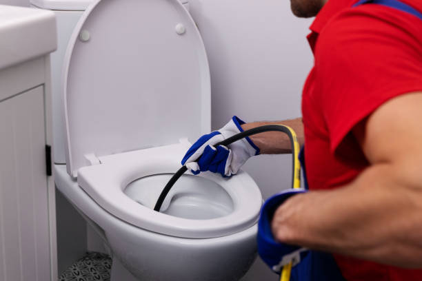 Best Local Plumber Services  in Three Oaks, FL