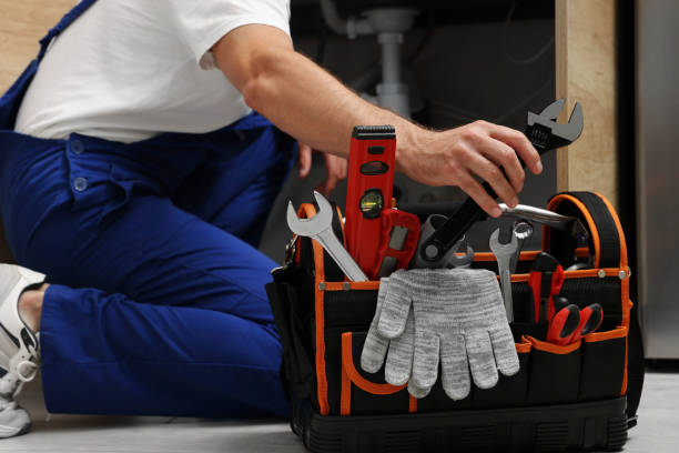 Best Affordable Plumber Near Me  in Three Oaks, FL