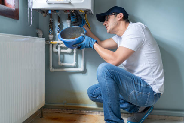 Best Plumbing Services Near Me  in Three Oaks, FL